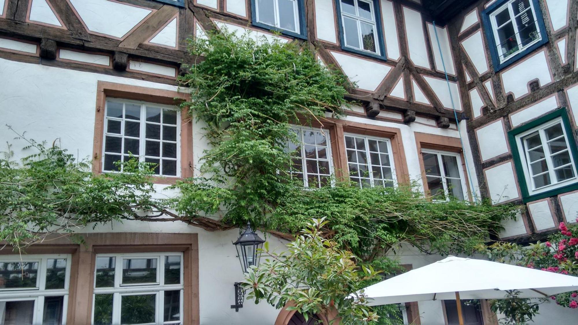 Historischer Adelshof Am Marktplatz, Atelier 70 M² ヴァインハイム エクステリア 写真